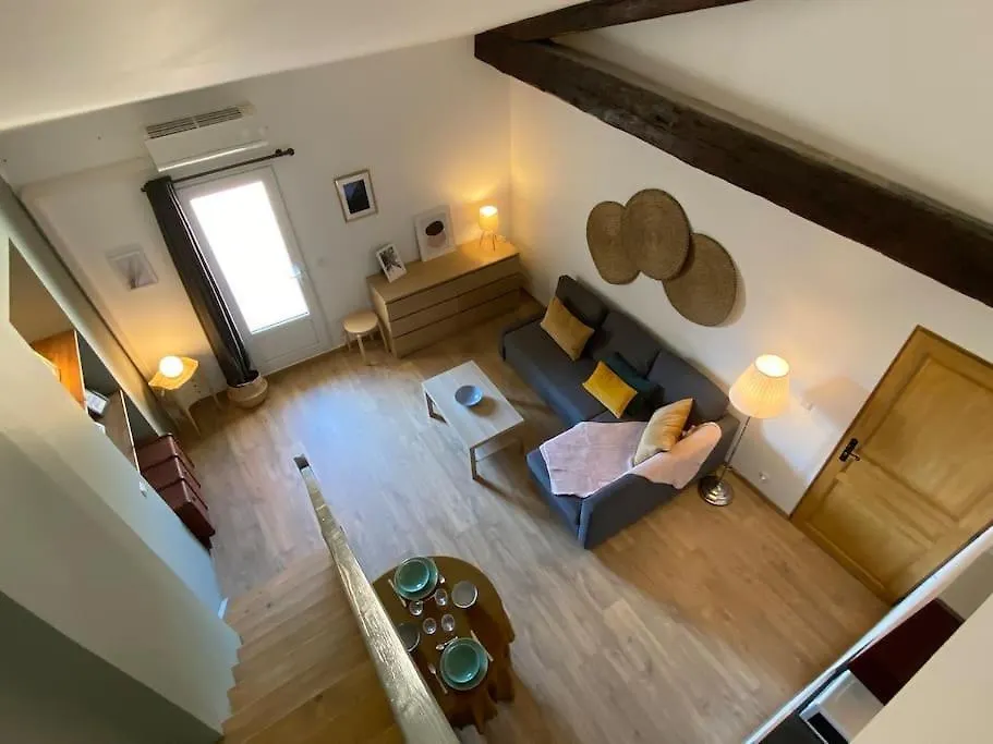 Mone - La Maison Racine 1 - Duplex Avec Terrasse Avignon